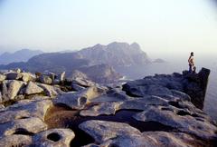 Cies