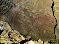 Altxerriko bisonte gorri handia
