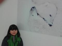 Lili eta hartzak