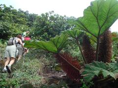 "Rincón de la Vieja"ra igotzen