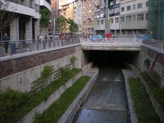 Avernorako sarreria 1
