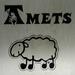 Ardia: ametsetan