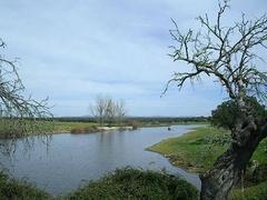 Río Tozo, Presa
