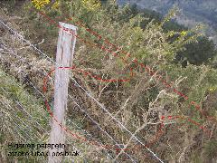 2º parapeto atzeko trintxerak