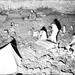 Gizon batzuk Erronkaribarko Larra mendatean dagoen San Martingo Harriko leize barruko bigarren kanpamentuan atseden hartzen
OHARRAK: Izenburu formala gazteleraz
ERREPORTAIA: San Martin Harriko Leizera espedizioa, 1960.
http://www.guregipuzkoa.net/photo/10277
