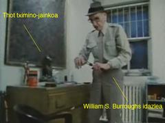 william burroughs idazlea