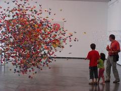 Origami, Ana Soler