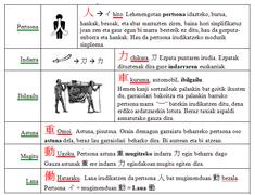 Japonierako ideogramak euskaratuta