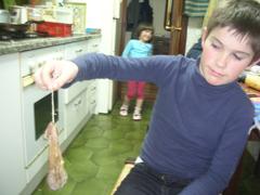 Ligarra